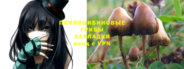 ECSTASY Кодинск
