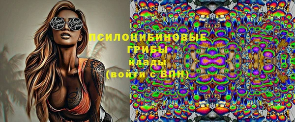 ECSTASY Козловка