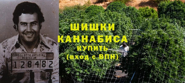 ECSTASY Кодинск