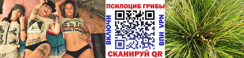 Псилоцибиновые грибы мицелий Тогучин